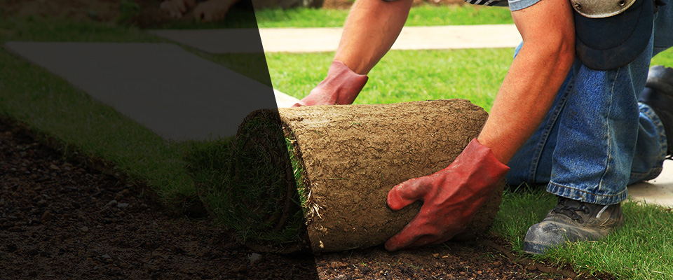 Waldwick Landscapers